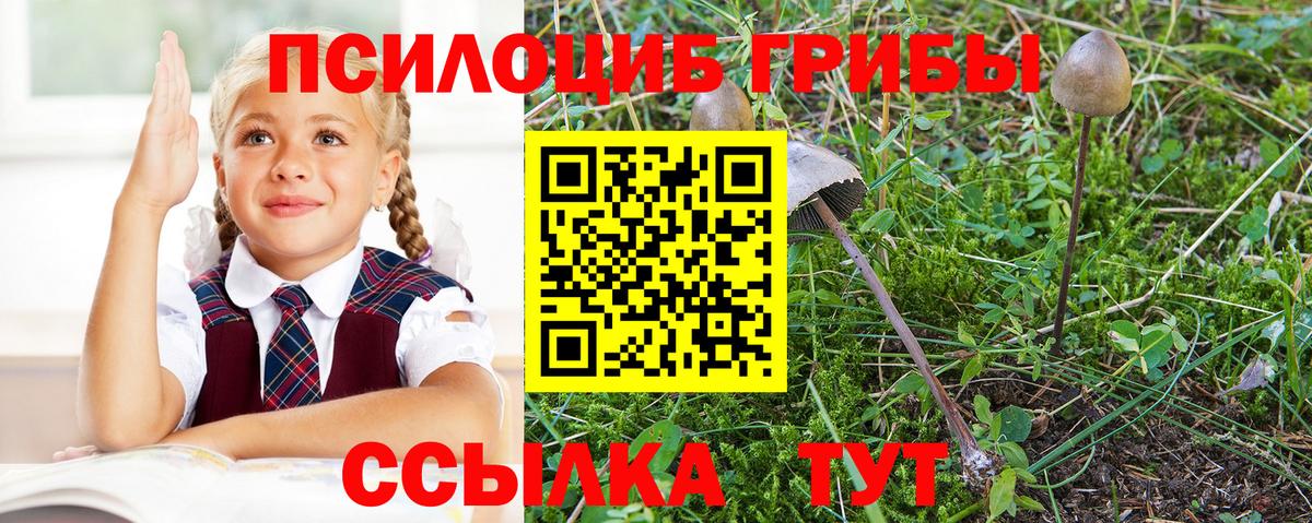 Псилоцибиновые грибы Magic Shrooms Лянтор