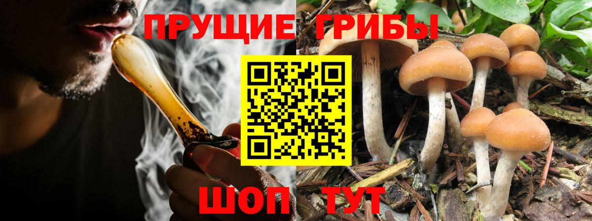 Лянтор  Галлюциногенные грибы прущие грибы  Вход с VPN 